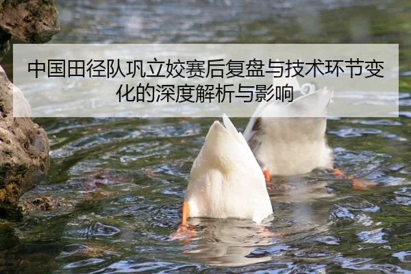 中国田径队巩立姣赛后复盘与技术环节变化的深度解析与影响