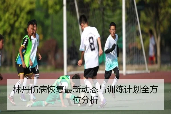 林丹伤病恢复最新动态与训练计划全方位分析
