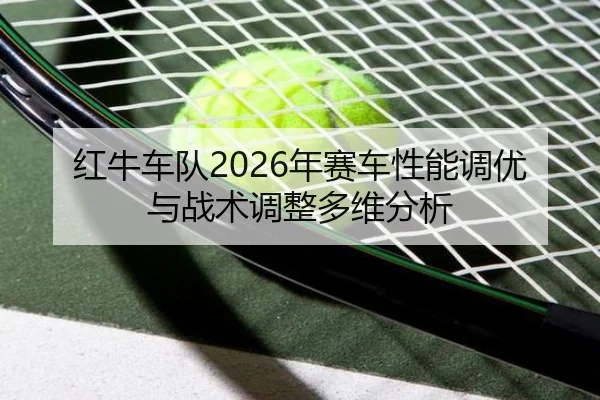 hong-niu-che-dui-nian-sai-che-xing-neng-diao-you-yu-zhan-shu-tiao-zheng-duo-wei-fen-xi-2-255.jpg