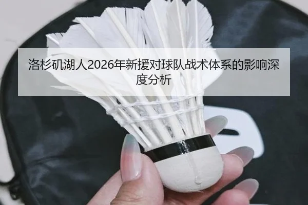 洛杉矶湖人2026年新援对球队战术体系的影响深度分析