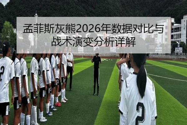 孟菲斯灰熊2026年数据对比与战术演变分析详解