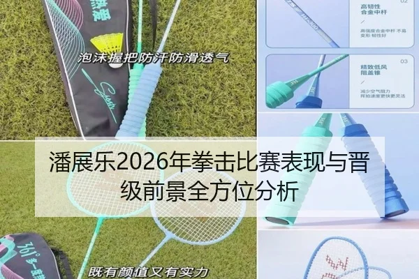 潘展乐2026年拳击比赛表现与晋级前景全方位分析